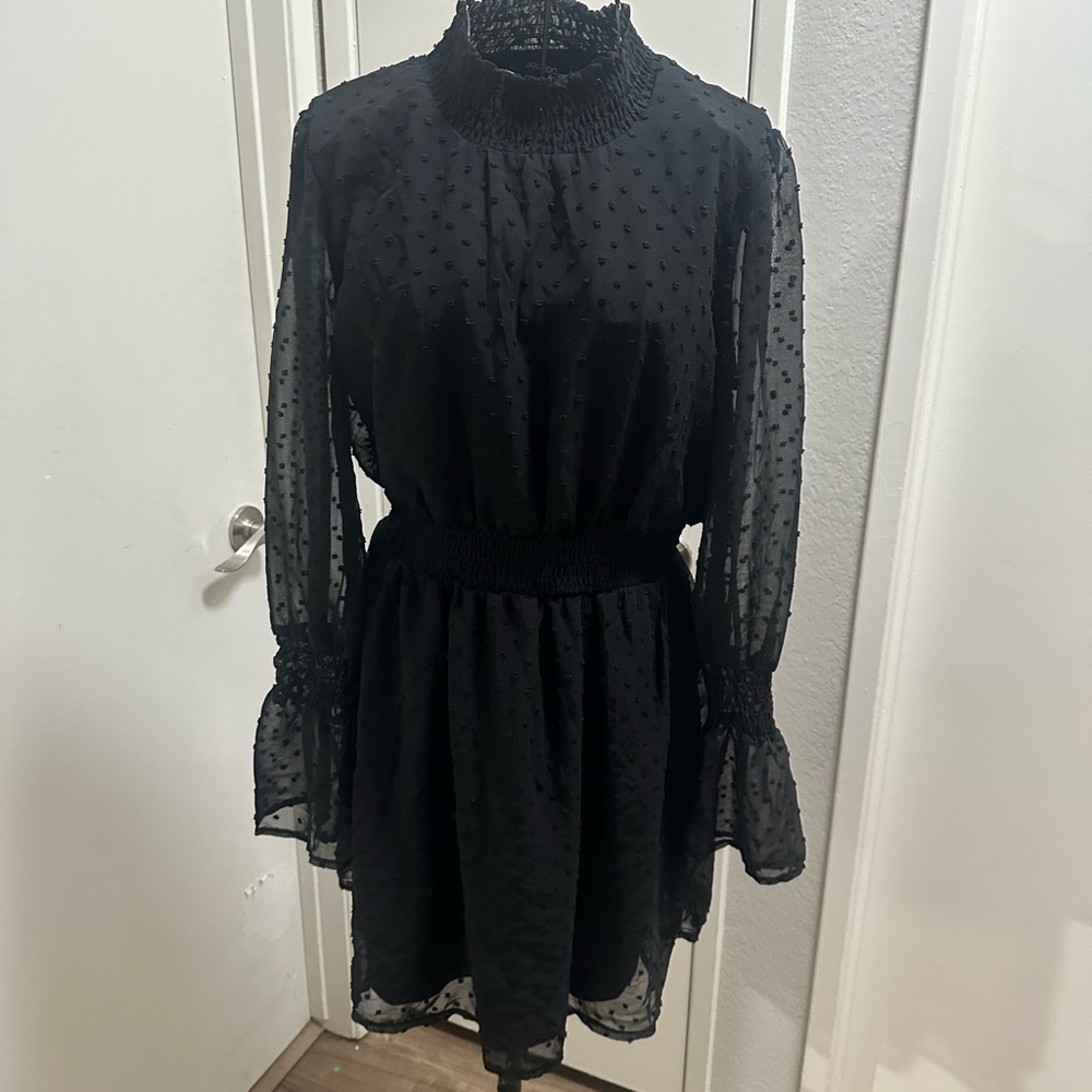 Elegant Black Sheer Dress